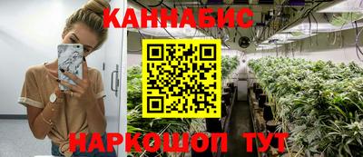 дмт Обь