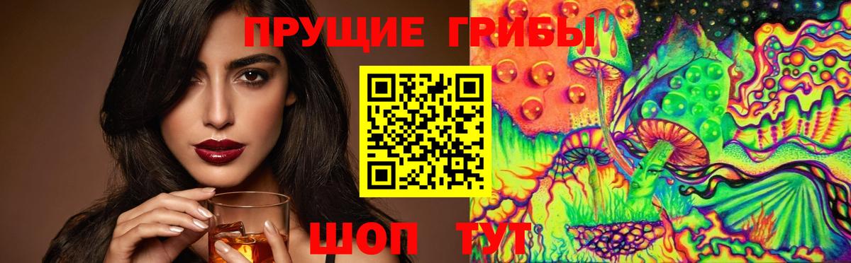 купить   Вход с VPN  Сорочинск  Псилоцибиновые грибы MAGIC MUSHROOMS 