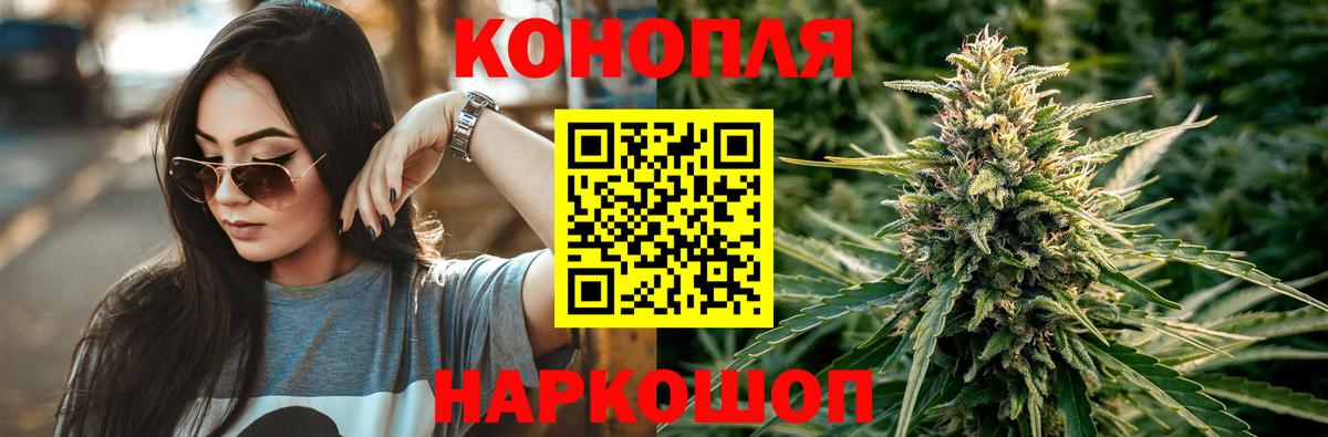 МАРИХУАНА сатива Сорочинск